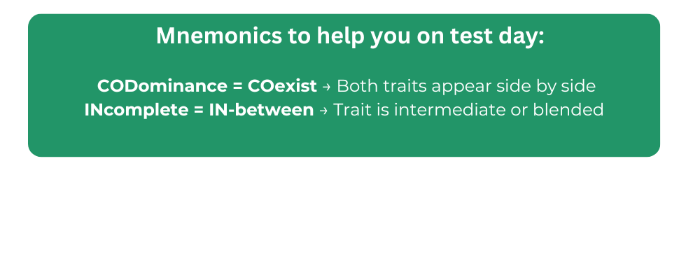 MCAT Genetics: Incomplete Dominance vs. Codominance Explained